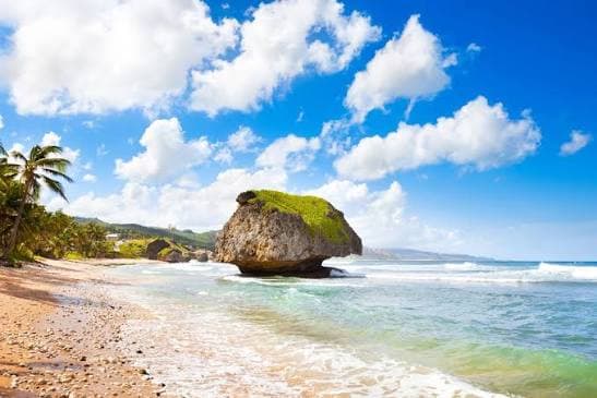 Bathsheba Beach